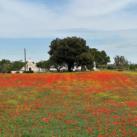아파트 A Casa Di Giulia *
