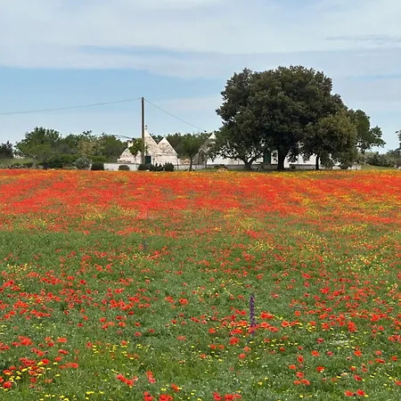 아파트 A Casa Di Giulia *